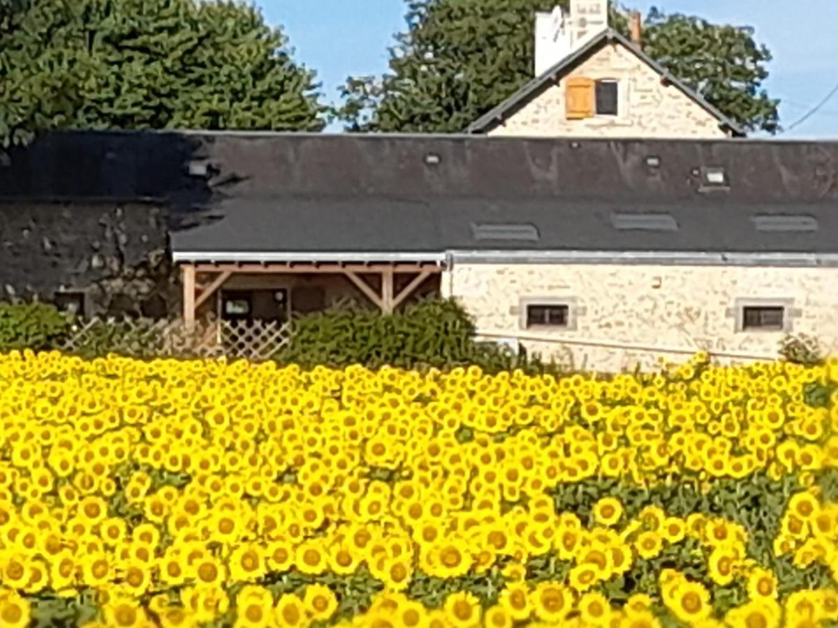 3 Self-Contained Gites With Pool And Games Room Saint-Georges-de-Noisné Kültér fotó